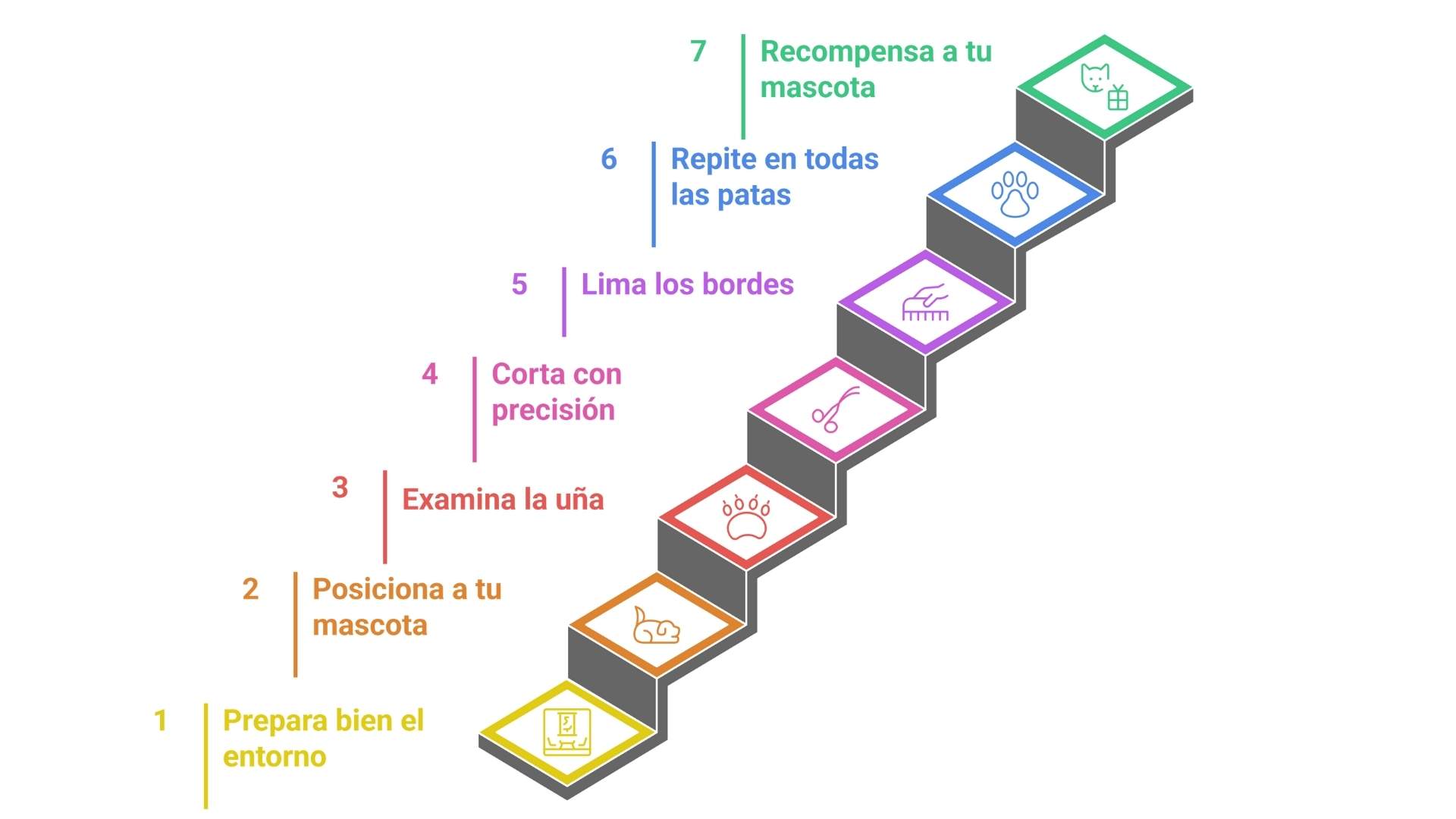 corte de uñas perro